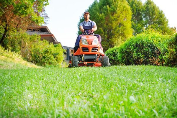 How Early Can You Legally Mow Your Lawn