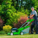 What is the Law on Mowing Your Lawn