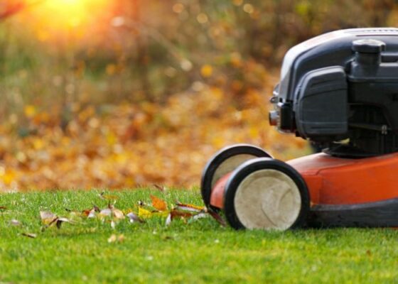 When to Stop Mowing Your Lawn for the Fall Season?