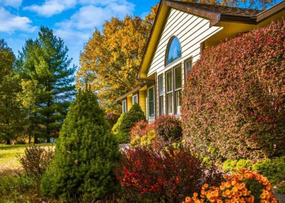 Fall Lawn Care Tips Every Oklahoma Homeowner Needs to Know