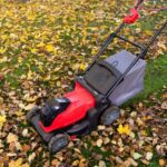 5 Essential DIY Lawn Tips to Prep for Winter in 2024