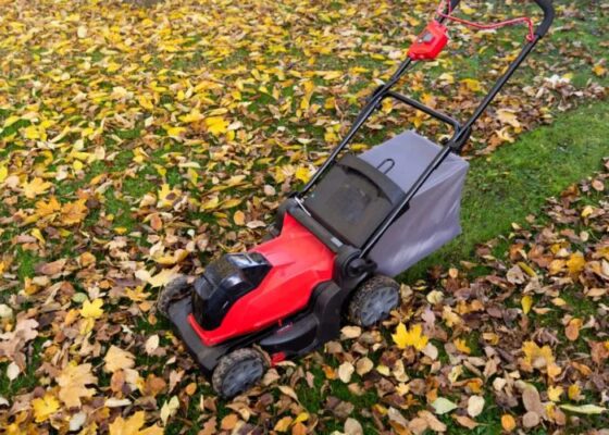 5 Essential DIY Lawn Tips to Prep for Winter in 2024